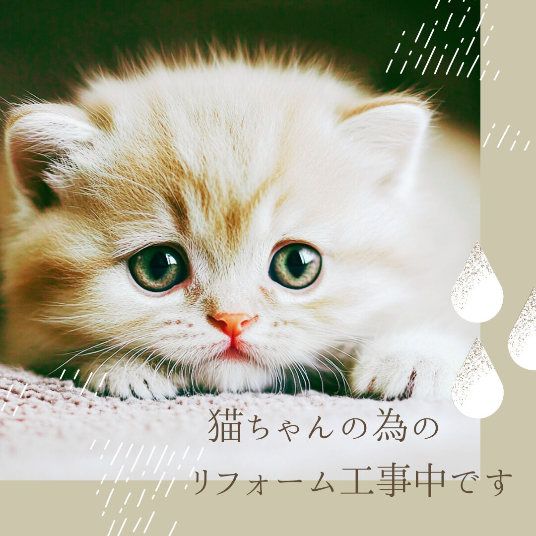 こんにちは、皆さん🐾✨！今日はちょっと特別なプロジェクトをシ