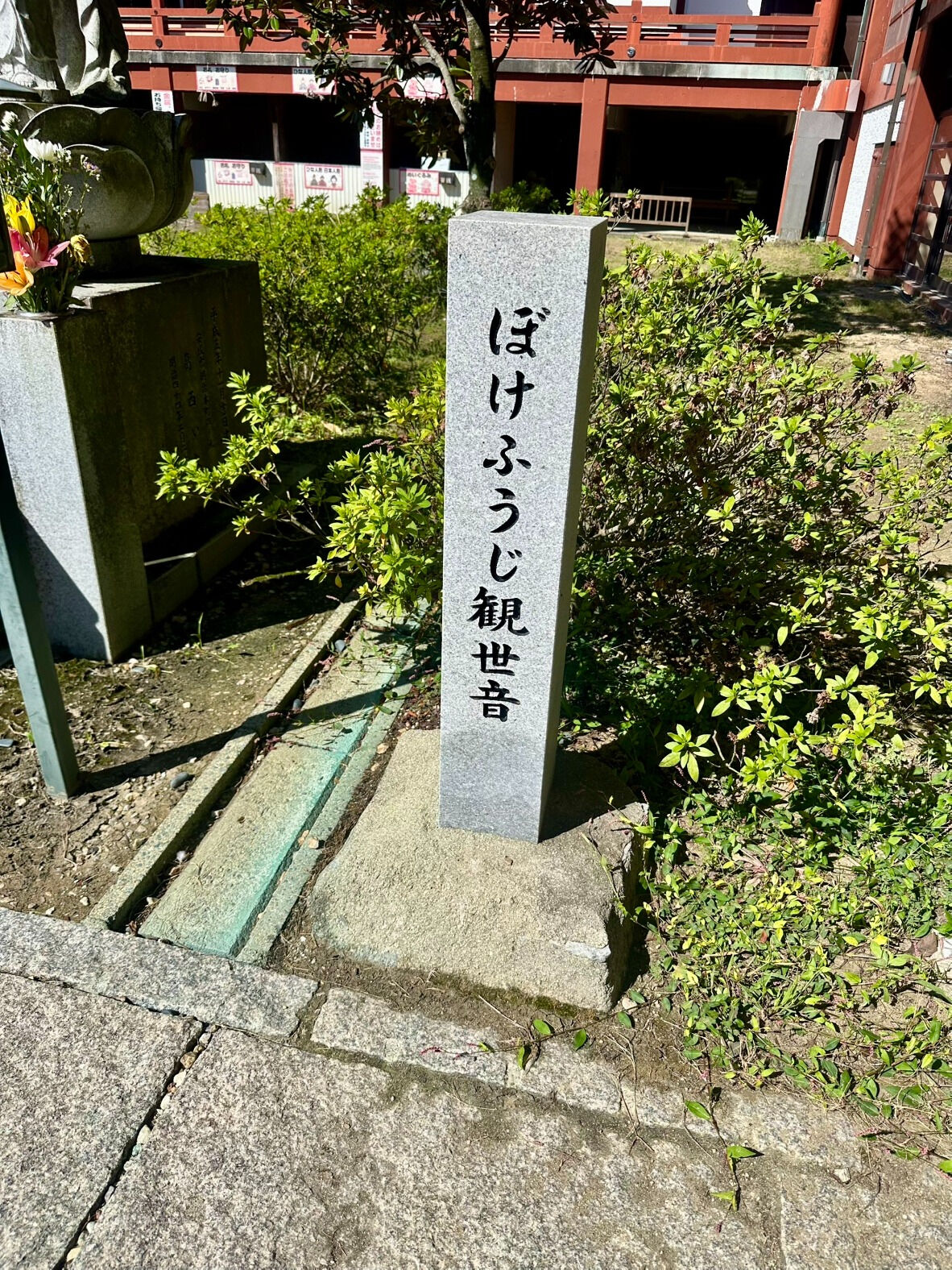 先日、母と三男と一緒に、父のお参りに行ってきました🙏